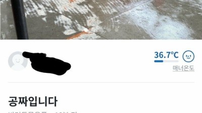 당근마켓에 올라온 공짜 강아지